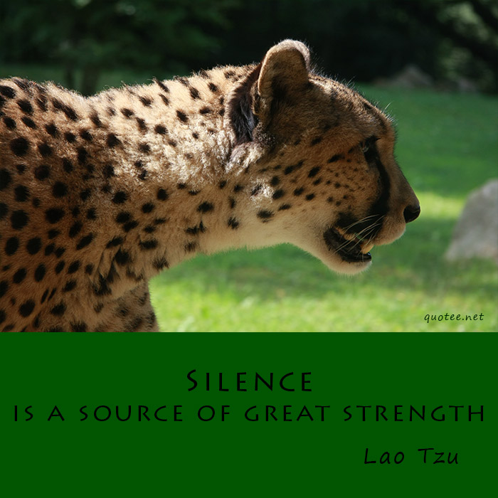 Quote Lao Tzu - Silence is a source of great strength