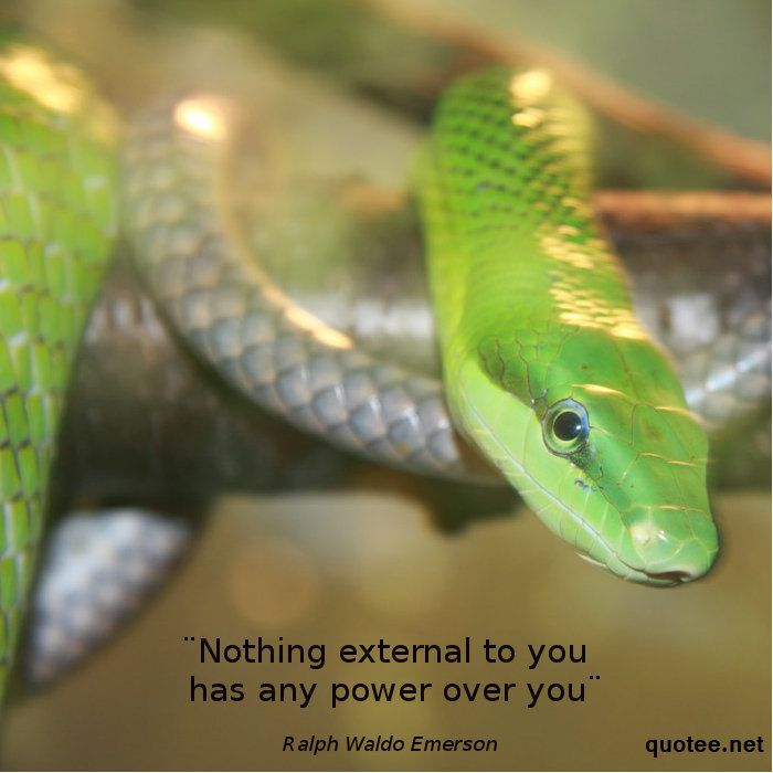 quot nothing external to you has any power over you