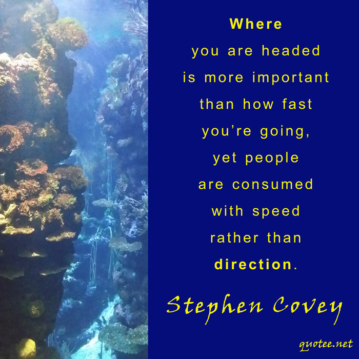 Quote Stephen Covey - Where you are headed