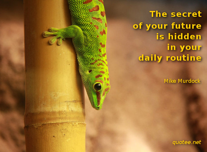 The secret of your future is hidden in your daily routine - quote Mike Murdock